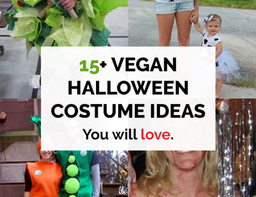 15 Vegan Halloween Costume Ideas you will love