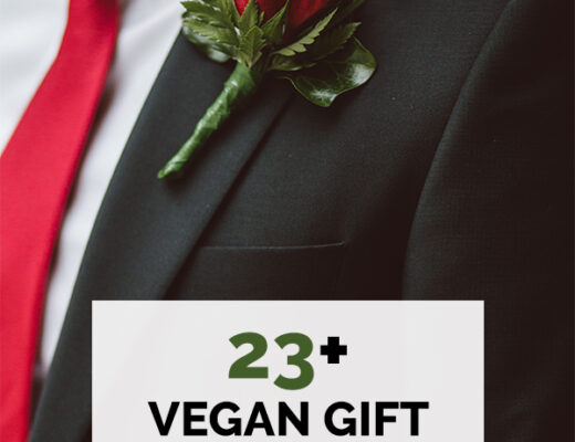 Vegan Gift Ideas for Him That he will love