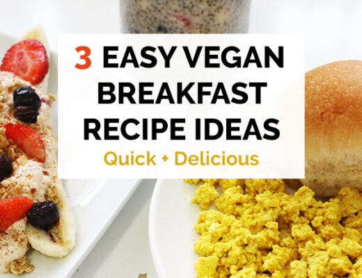 3 Easy Vegan Breakfast Recipe Ideas quick delicious